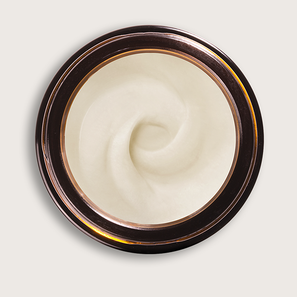 Bullfrog Tattoo Shine Butter Bullfrog Tattoo Shine Butter