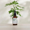 Bullfrog Lightweight Anti-Stress Oil
